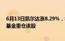 6月13日凯尔达涨8.29%，华夏数字经济龙头混合发起式A基金重仓该股