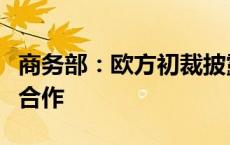 商务部：欧方初裁披露扰乱中欧新能源车互利合作