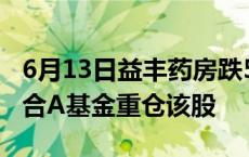 6月13日益丰药房跌5.83%，信澳健康中国混合A基金重仓该股