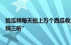 验瓜师每天拍上万个西瓜收入千元！技术主要包括“一看二摸三听”