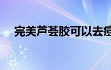 完美芦荟胶可以去痘印吗 芦荟胶祛痘吗 