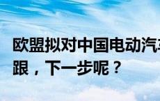 欧盟拟对中国电动汽车加征高额关税，挪威不跟，下一步呢？