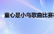 童心是小鸟歌曲比赛视频 童心是小鸟歌曲 