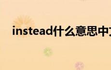 instead什么意思中文 instead什么意思 