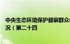 中央生态环境保护督察群众信访举报转办和边督边改公开情况（第二十四