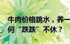 牛肉价格跳水，养一头牛亏6000元！牛肉为何“跌跌”不休？