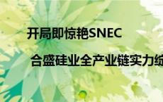 开局即惊艳SNEC | 合盛硅业全产业链实力绽放，引领光伏创新新纪元