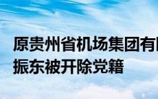 原贵州省机场集团有限公司董事长、总经理申振东被开除党籍