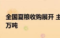 全国夏粮收购展开 主产区已收购新麦超1000万吨