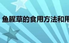 鱼腥草的食用方法和用量 鱼腥草的食用方法 