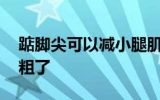 踮脚尖可以减小腿肌肉吗 踮脚尖瘦小腿反而粗了 