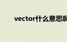 vector什么意思啊 vector什么意思 