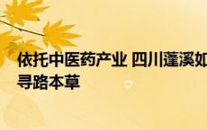 依托中医药产业 四川蓬溪如何走出独特的养心文旅之路？｜寻路本草