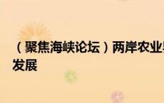 （聚焦海峡论坛）两岸农业界人士携手探索推动种业高质量发展