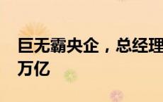 巨无霸央企，总经理调整！公司年营收超3.5万亿