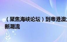 （聚焦海峡论坛）到粤港澳大湾区内地城市Citywalk成港青新潮流