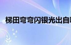 梯田弯弯闪银光出自哪里 梯田弯弯闪银光 