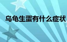 乌龟生蛋有什么症状 乌龟生蛋了怎么处理 