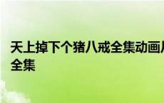 天上掉下个猪八戒全集动画片爱奇艺观看 天上掉下个猪八戒全集 