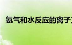 氨气和水反应的离子方程式 氨气和水反应 