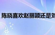 陈晓喜欢赵丽颖还是刘亦菲 陈晓喜欢赵丽颖 