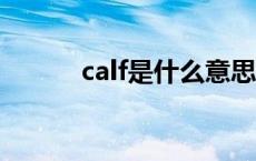 calf是什么意思 cal是什么意思 