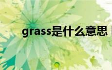 grass是什么意思 leaves是什么意思 