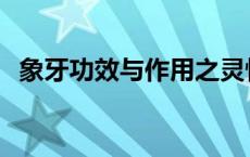 象牙功效与作用之灵性 象牙的作用与功效 