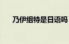 乃伊组特是日语吗 乃伊组特什么意思 