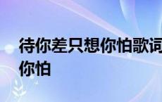 待你差只想你怕歌词是什么意思 待你差只想你怕 