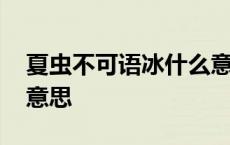 夏虫不可语冰什么意思哦 夏虫不可语冰什么意思 