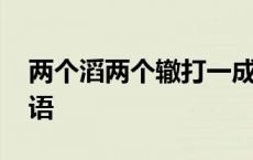 两个滔两个辙打一成语 两个蹈两个辙打一成语 