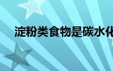 淀粉类食物是碳水化合物吗 淀粉类食物 