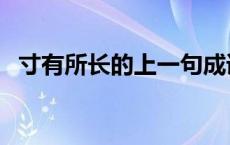 寸有所长的上一句成语 寸有所长的上一句 