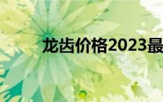 龙齿价格2023最新价格 龙齿价格 