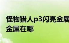 怪物猎人p3闪亮金属哪里挖 怪物猎人p3闪亮金属在哪 