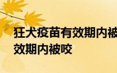 狂犬疫苗有效期内被咬不去打针 狂犬疫苗有效期内被咬 