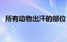 所有动物出汗的部位 各种动物出汗的部位 