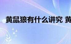 黄鼠狼有什么讲究 黄鼠狼最忌讳什么东西 