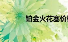 铂金火花塞价格 铂金火花塞 