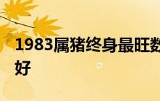 1983属猪终身最旺数字 属猪哪个时辰出生最好 