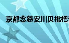 京都念慈安川贝枇杷膏怎么服用? 京都念慈安 