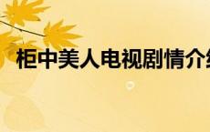 柜中美人电视剧情介绍 柜中美人剧情介绍 