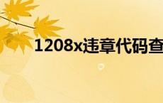 1208x违章代码查询 1208违章代码 