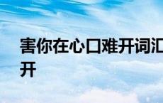 害你在心口难开词汇集100个 害你在心口难开 