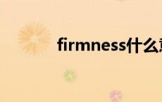 firmness什么意思 firmness 