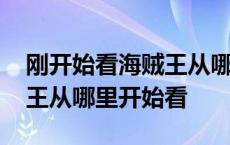 刚开始看海贼王从哪开始看最好 新人看海贼王从哪里开始看 