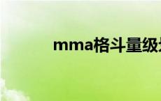 mma格斗量级划分 mma格斗 