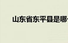 山东省东平县是哪个市 山东省东平县 