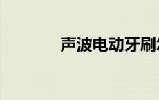 声波电动牙刷怎样充电 声波 